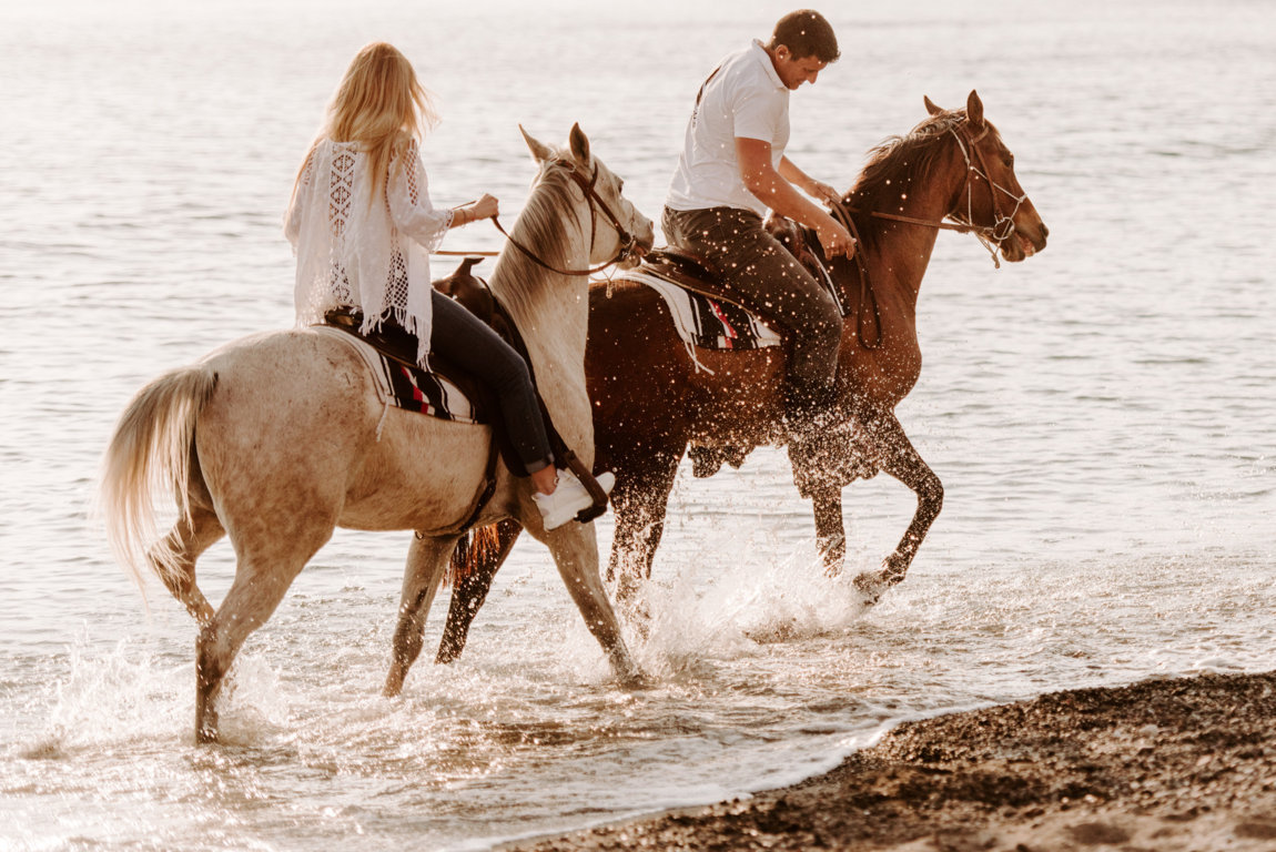 Horse Riding